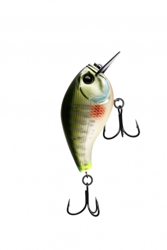 13 Fishing Scamp 2.5 Dream Gill Jagged Tooth Tackle