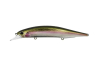DUO Realis Jerkbait 120SP Pike Limited - Rainbow Trout