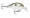 Rapala DT 04 - Green Gizzard Shad