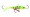 Clam Tikka Mino 1/8 oz - Glow Chart Wonderbread