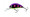 Salmo Hornet #4 Floating - Blueberry Beast