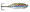 VMC Flash Champ Spoon 1/8 oz - Rainbow Trout