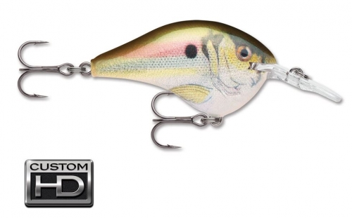 Rapala DT Dives To 6 Custom HD Live River Shad Jagged Tooth Tackle
