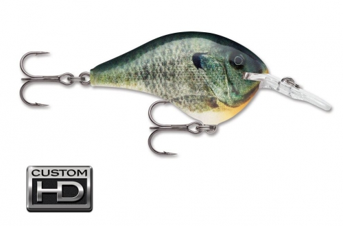 Rapala DT Dives To 6 Custom HD Live Bluegill Jagged Tooth Tackle