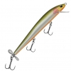 Bagley Spintail 05 - Tennessee Shad