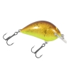Bagley Pro Sunny B - Chartreuse Root Beer