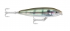 Rapala Saltwater Skitter Walk - Pinfish