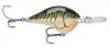 Rapala DT (Dives To) Series