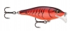 Rapala Scatter Lures