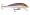Rapala Original Floating 05 - Purpledescent