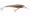 Northland Tackle Rumble Beast 8 - Little Musky on ...