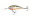 Northland Tackle Rumble Shad 5 - Perch
