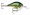 Rapala DT 06 - Baby Bass
