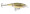 Rapala X-Rap Jointed Shad - Bunker
