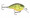 Rapala DT 04 - Chartreuse Rootbeer Crawdad