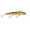 Northland Tackle Rumble B 11 - Gold Perch