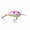 Northland Tackle Rumble Bug 4 - Pink Pearl