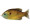 Live Target Hollow Body Sunfish 90 - Copper Pumpki...