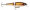 Rapala BX Jointed Minnow 09 - Gold Shiner